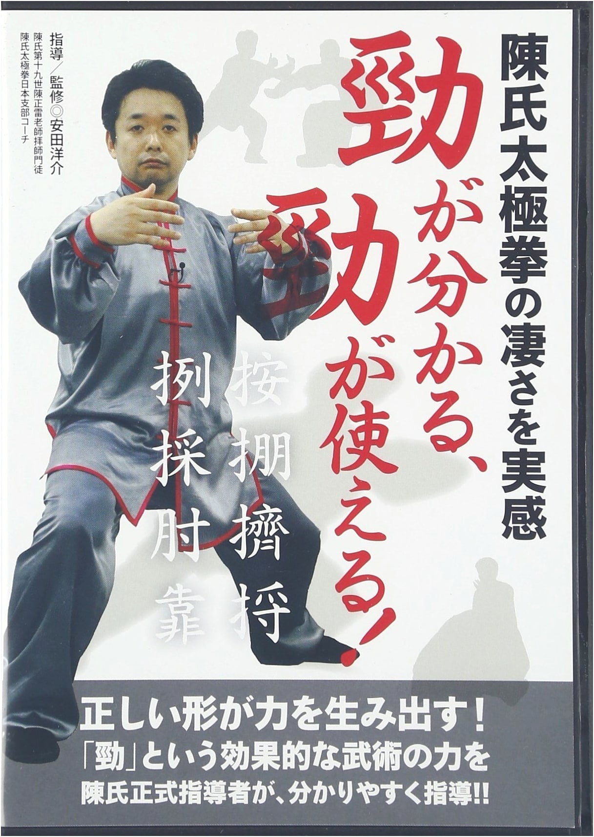 Chen Style Tai Chi Chuan: Understanding and Utilizing Internal Power (DVD)