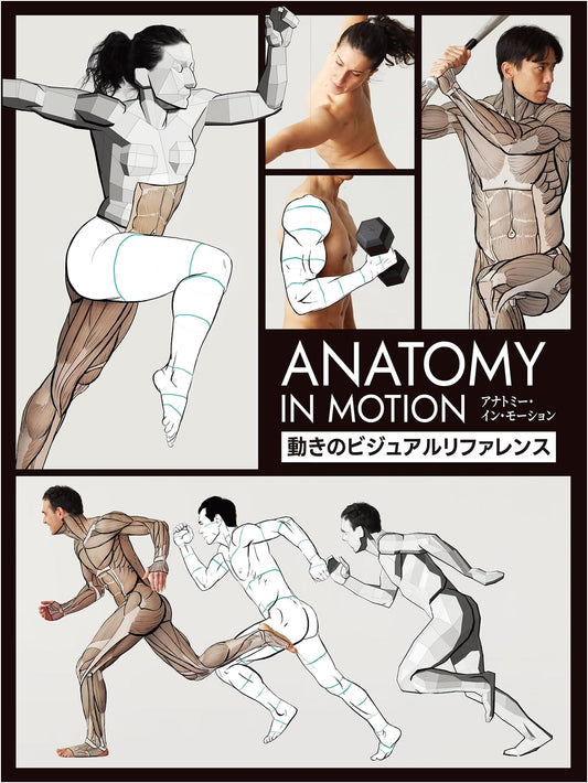 Anatomy in Motion: A Visual Reference Guide