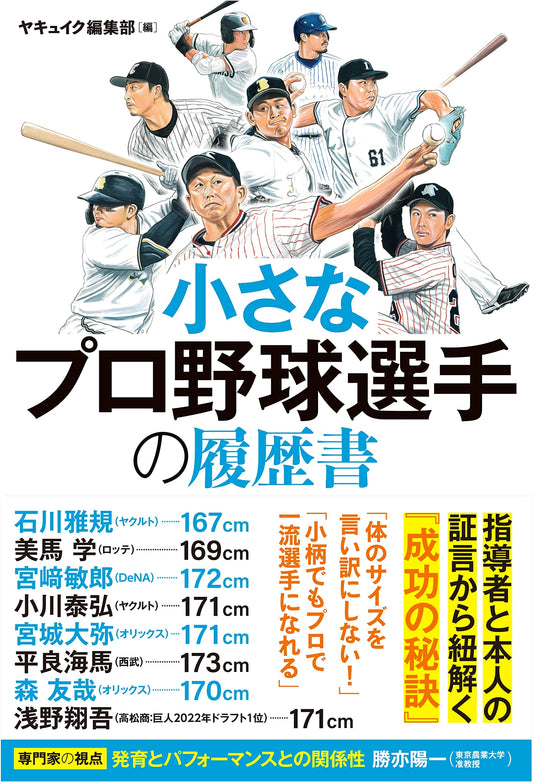 The Unsung Pro: Career Resumes of Japan's Little Professional Baseball Players