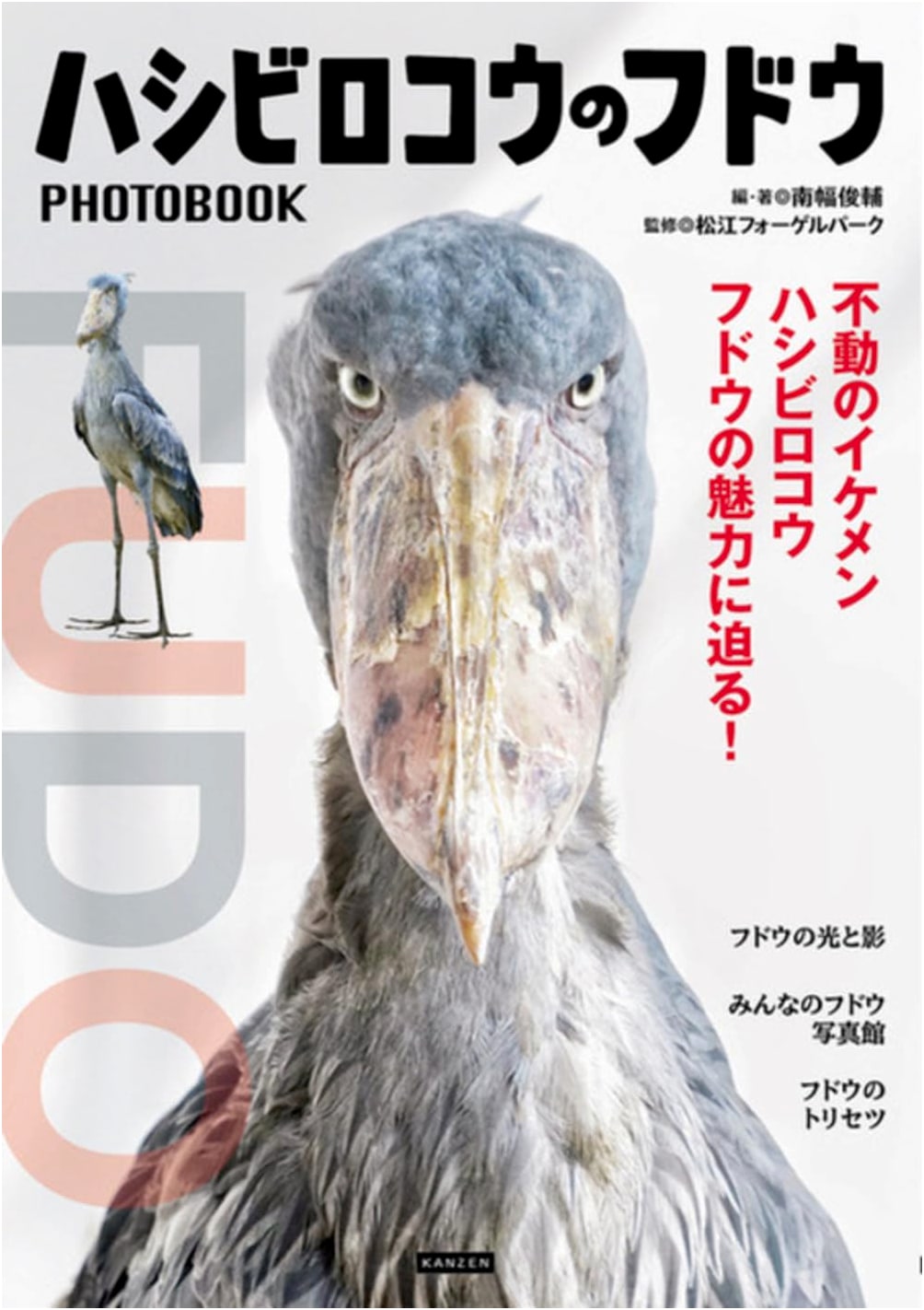Fudou the Shoebill: A Photo Book