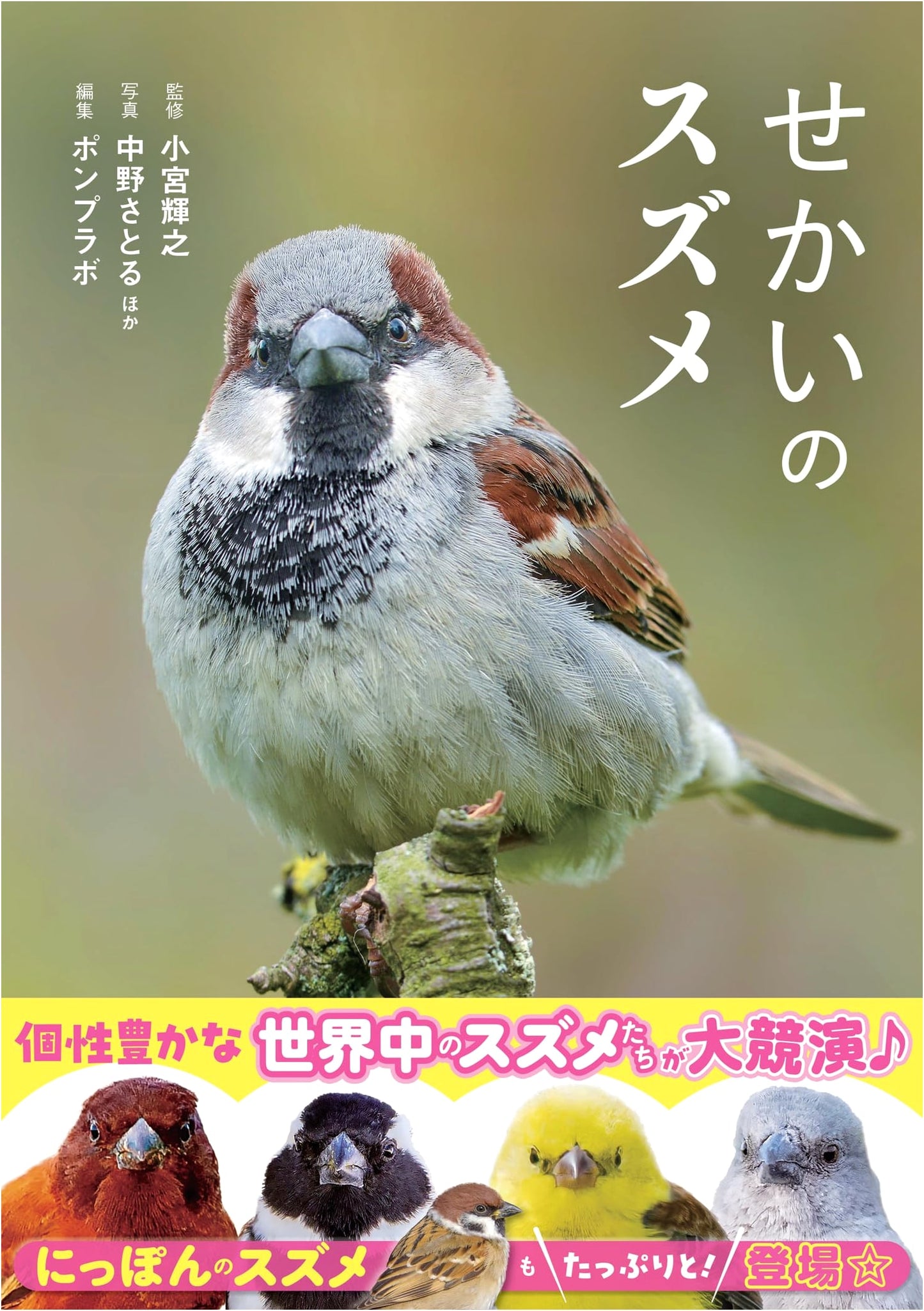 The World's Sparrows