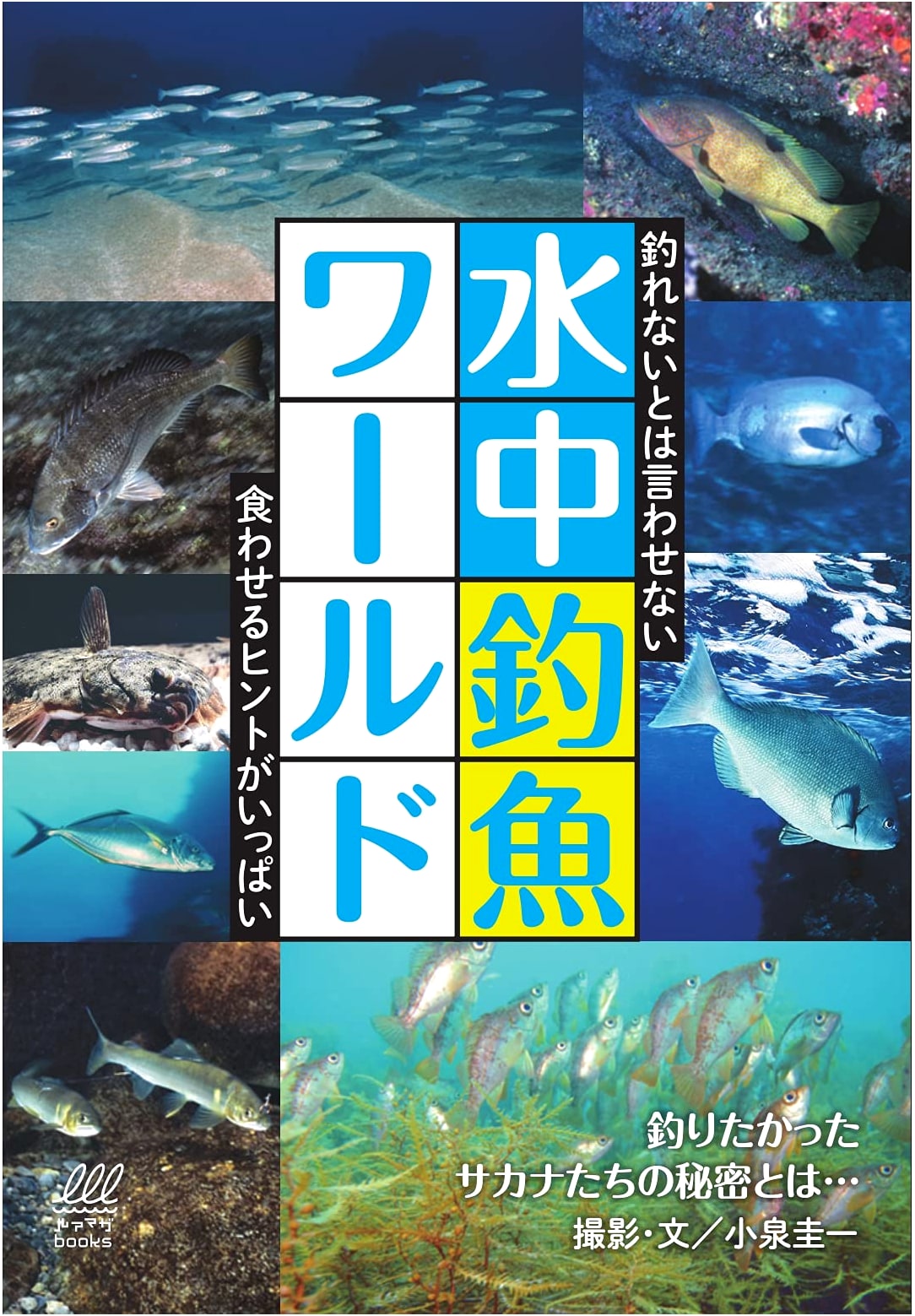 Underwater Fishing World (Lure Magazine Books)