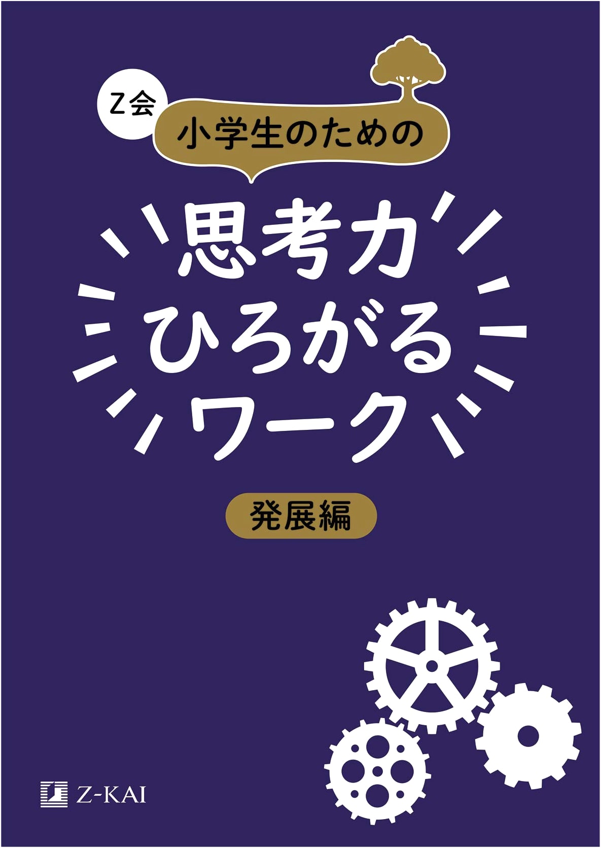 Z-kai Thinking Skills Enrichment Workbook for Elementary Students (Developing Minds Series)