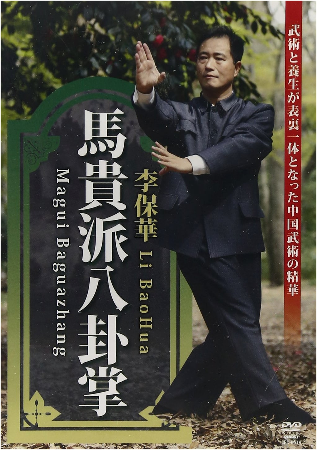 Li Baohua: Ma Gui Style Baguazhang (DVD)