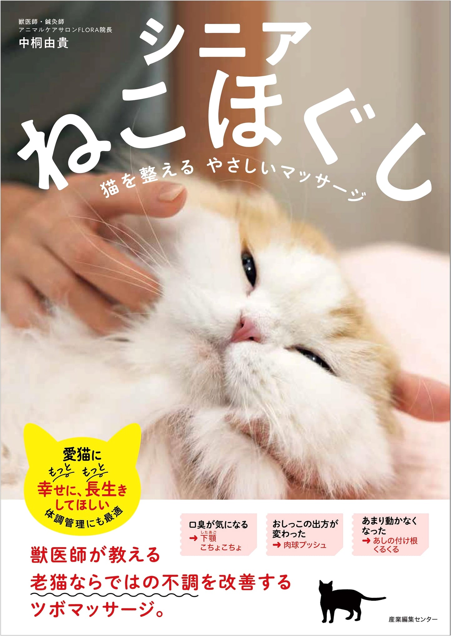 Senior Cat Massage: Gentle Techniques to Comfort and Soothe Your Aging Feline