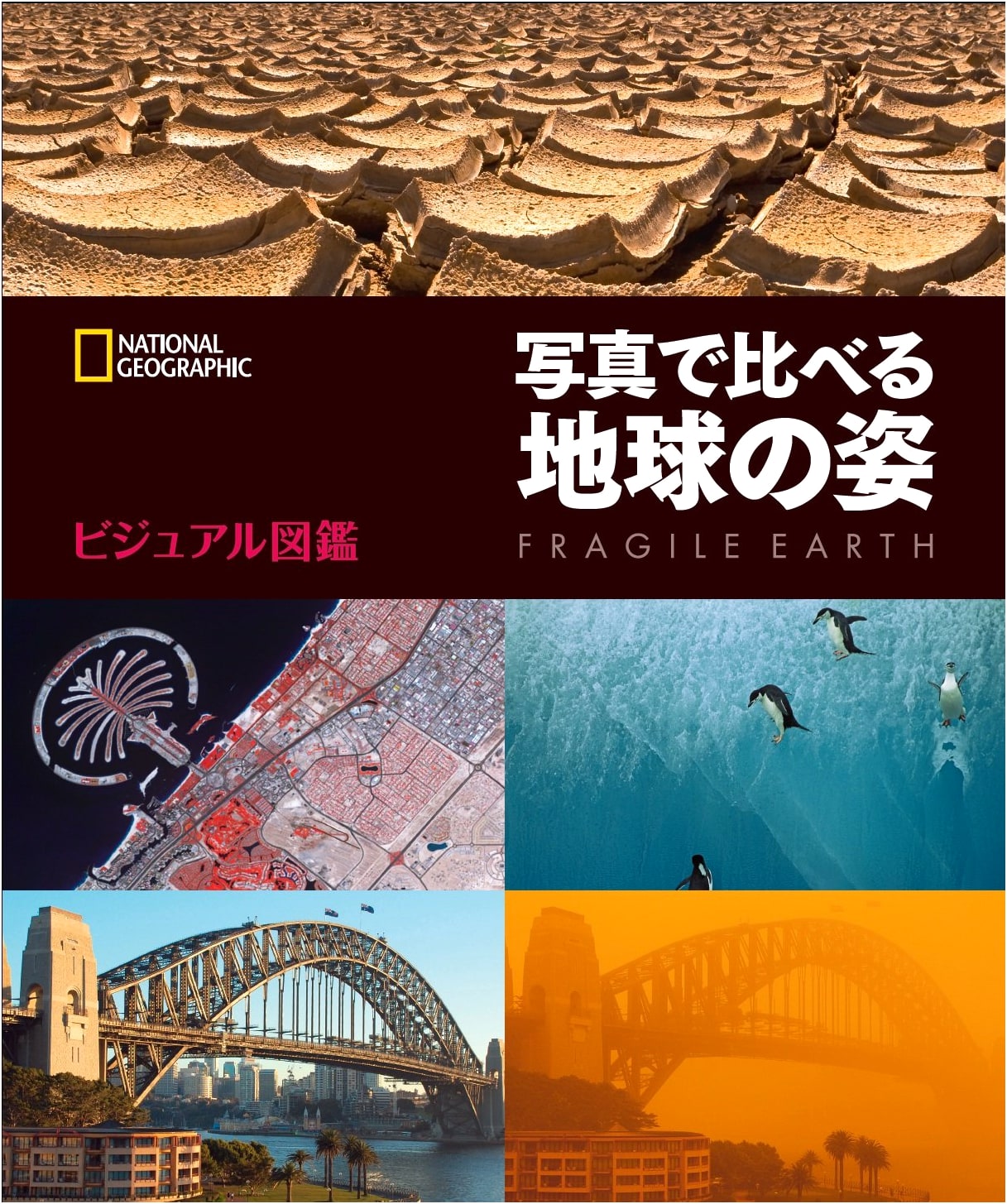 Visual Encyclopedia: Comparing Earth's Appearance Through Photographs