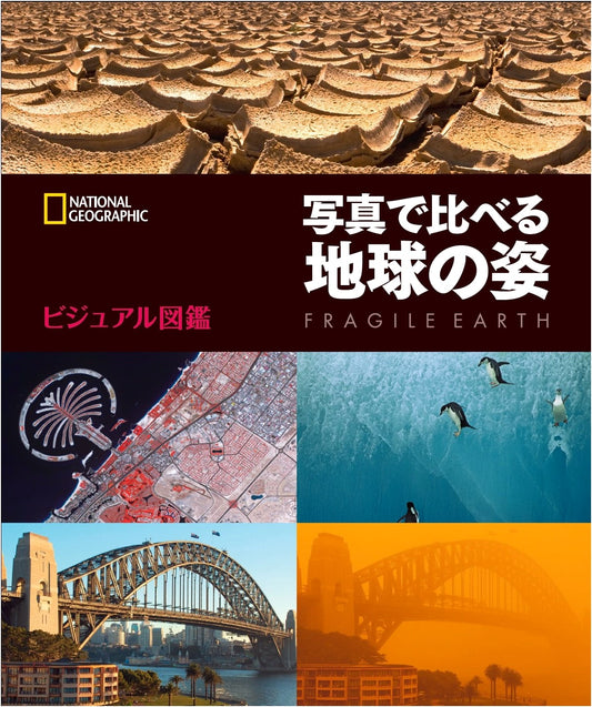 Visual Encyclopedia: Comparing Earth's Appearance Through Photographs