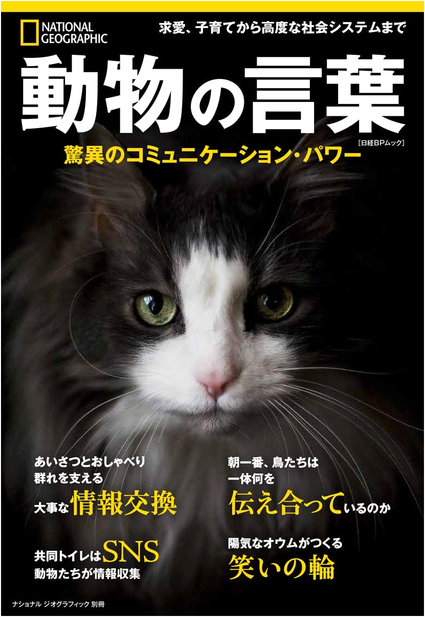 Animal Language: The Amazing Power of Communication (National Geographic Special Issue)