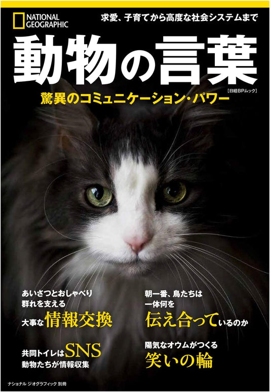 Animal Language: The Amazing Power of Communication (National Geographic Special Issue)