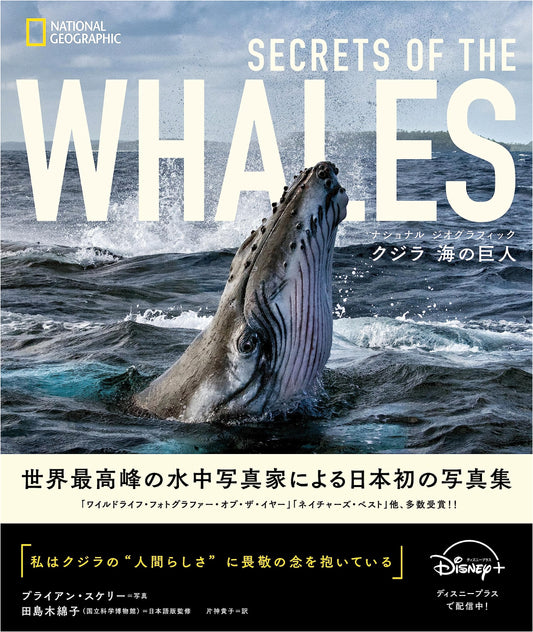 Whales: Giants of the Sea - National Geographic by Brian Skerry