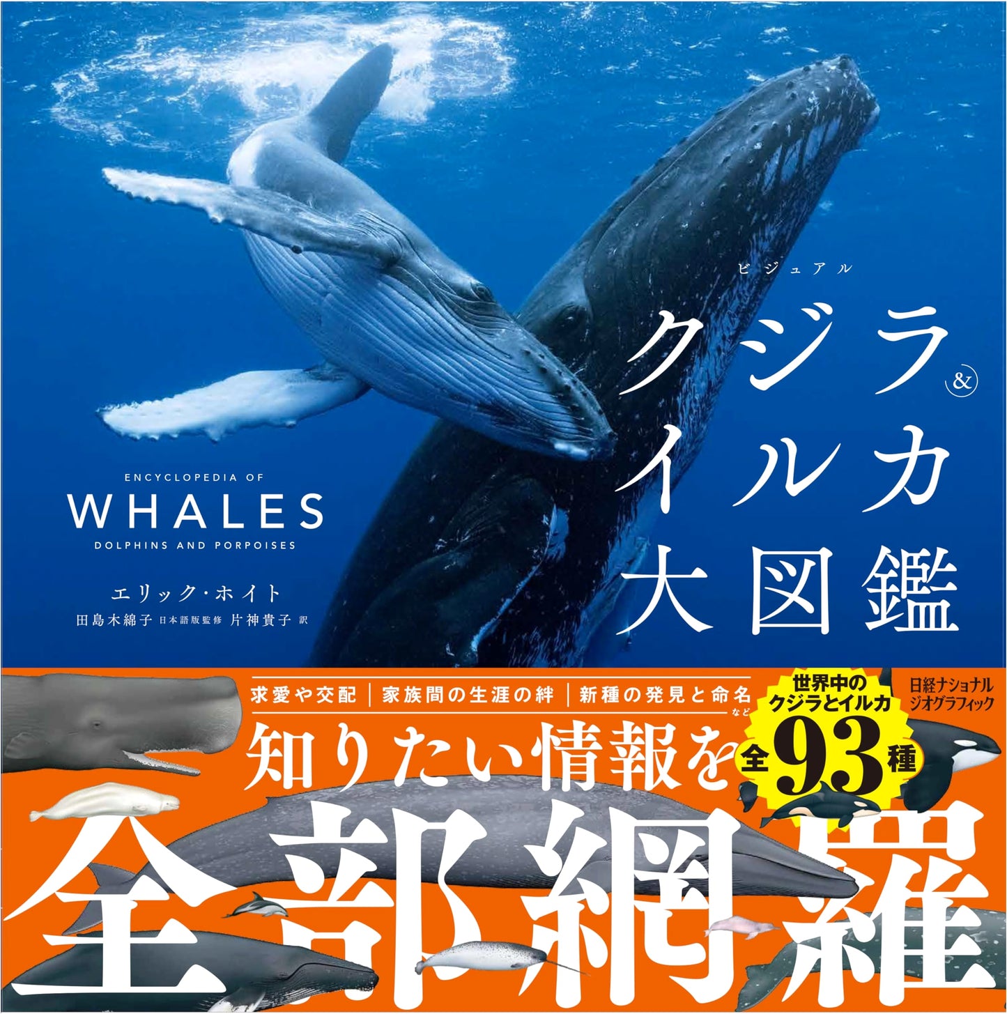 The Grand Visual Guide to Whales & Dolphins