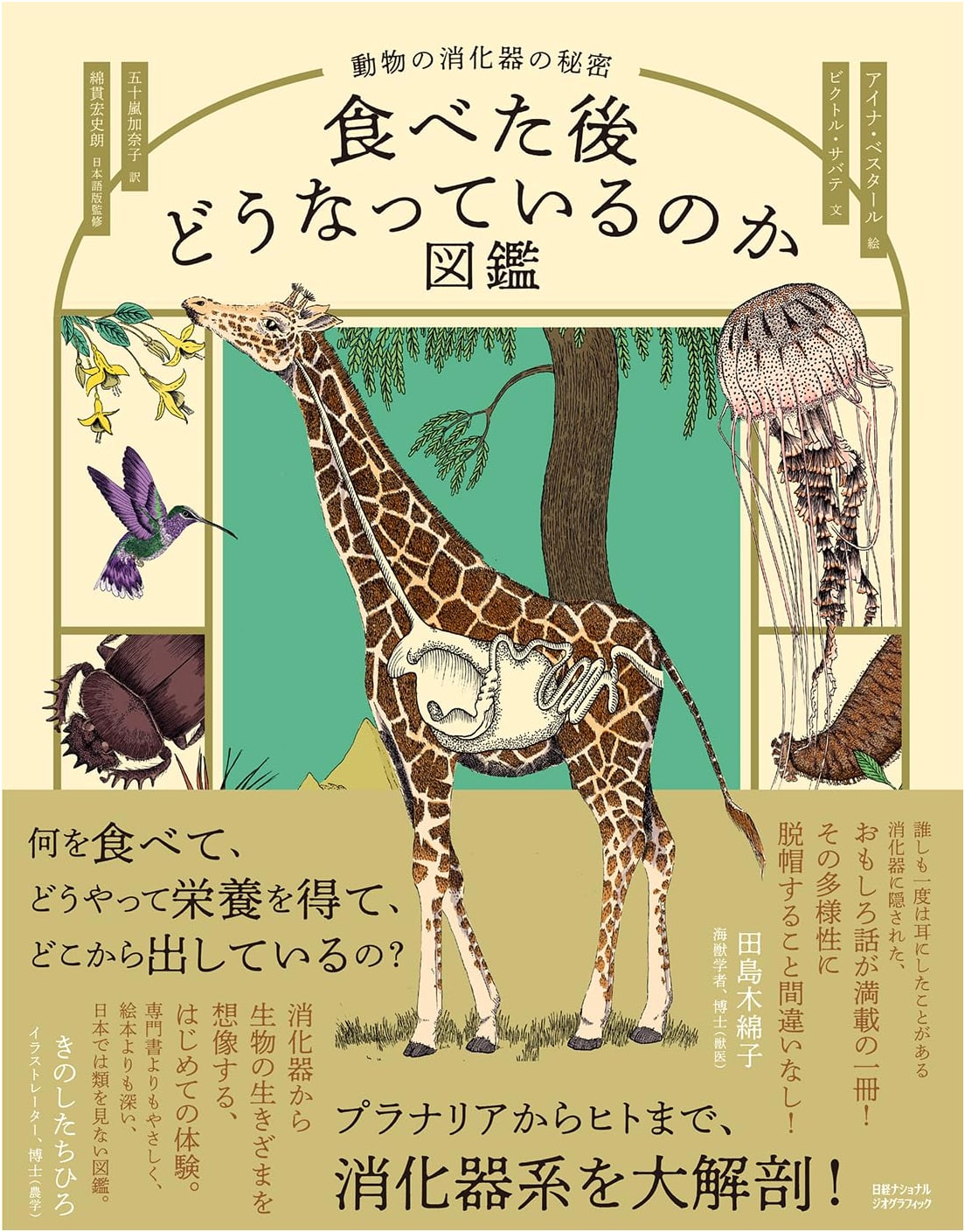 Illustrated Guide to What Happens After Eating: Secrets of Animal Digestion