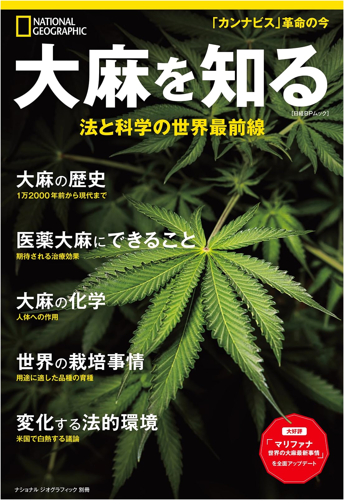 Understanding Cannabis: Global Forefront of Law & Science (National Geographic Special Edition)