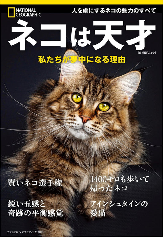 Cats are Geniuses: The Reasons We're Obsessed (National Geographic Special Edition)