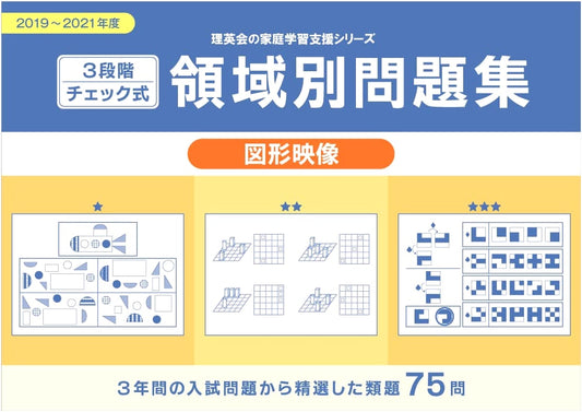 3-Step Check: Geometry & Visual Perception Practice Workbook (2019-2021)