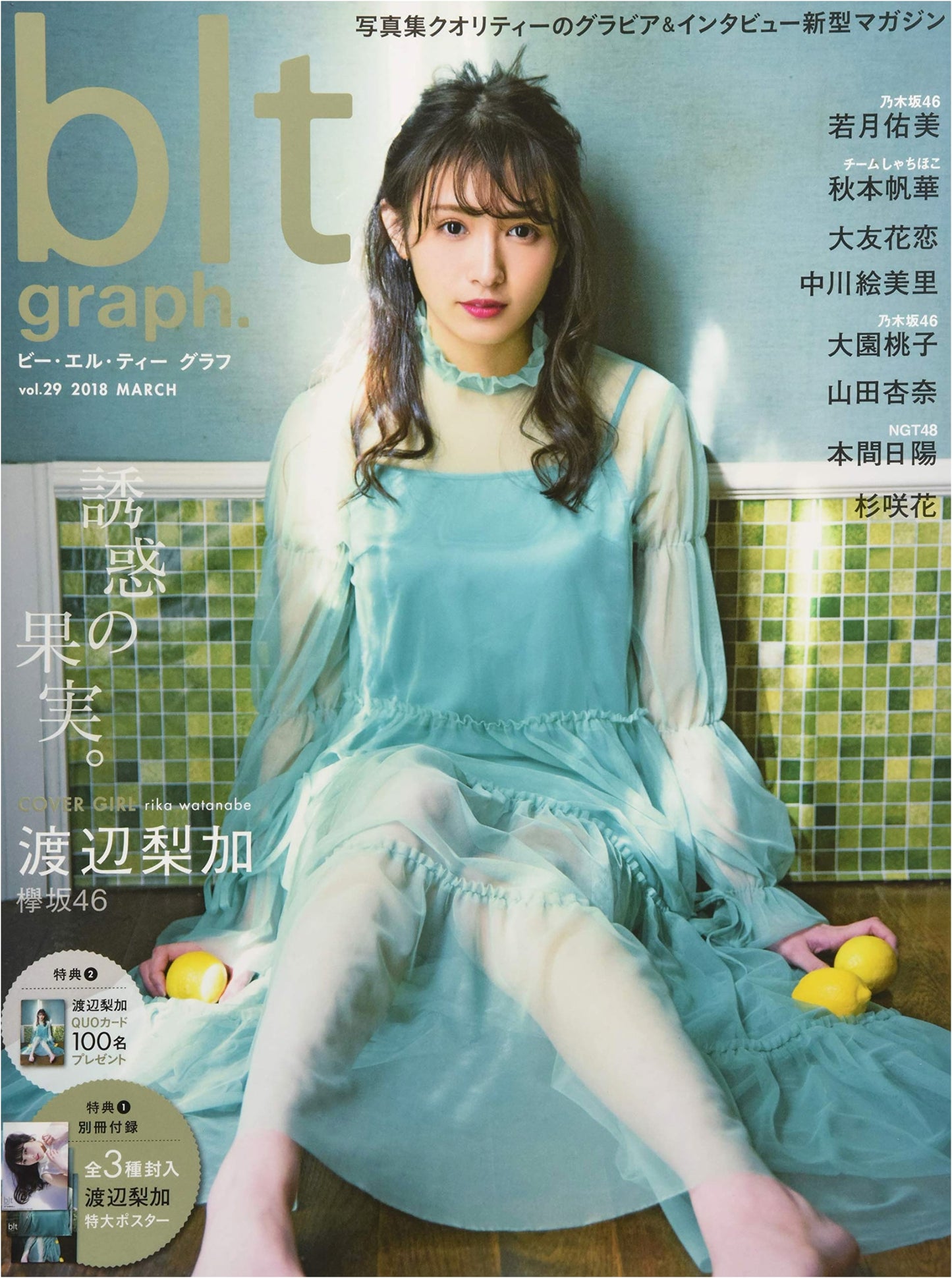 blt graph. Vol. 29: Japanese Photo Magazine / MOOK
