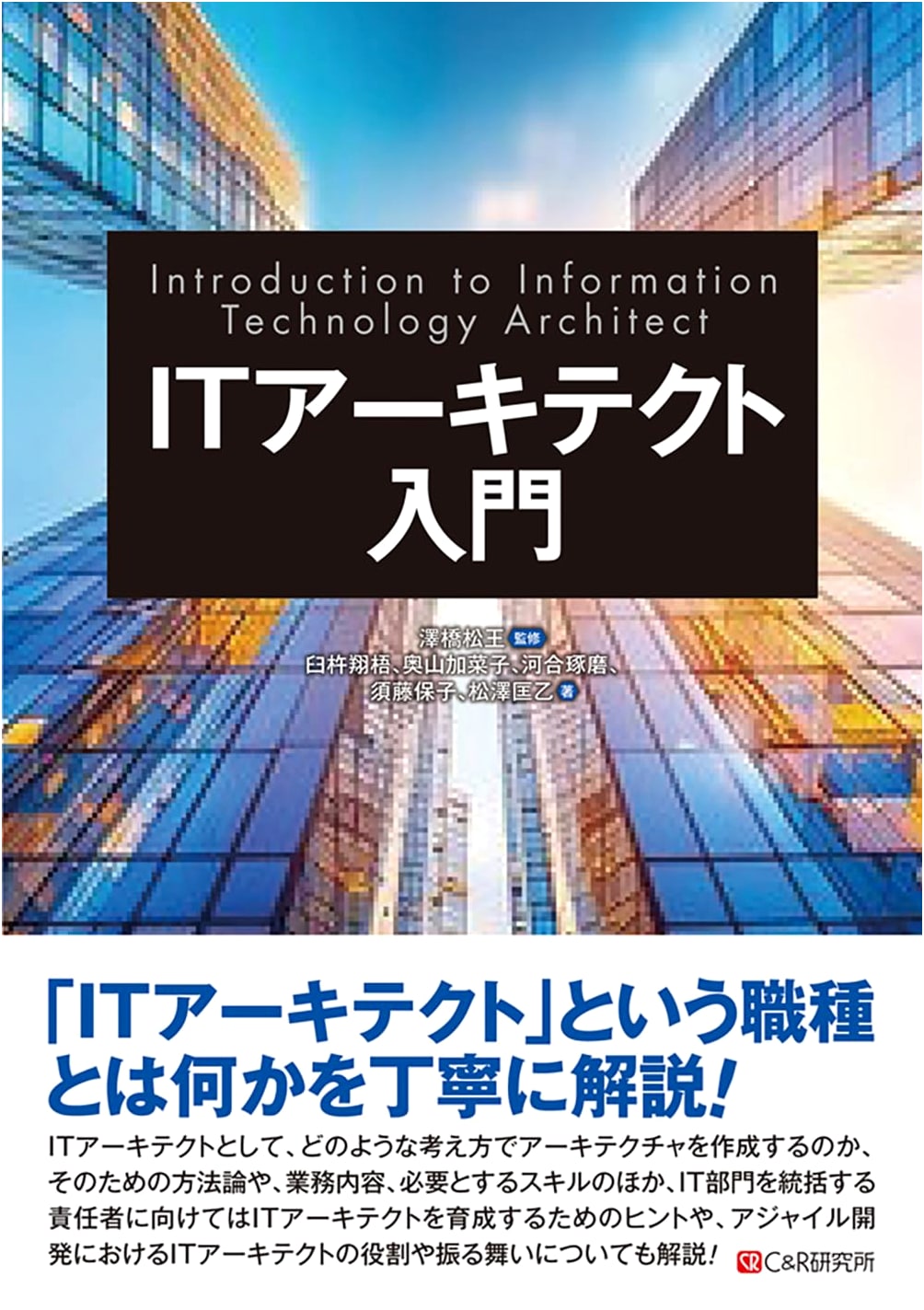 Introduction to IT Architecture: A Comprehensive Guide
