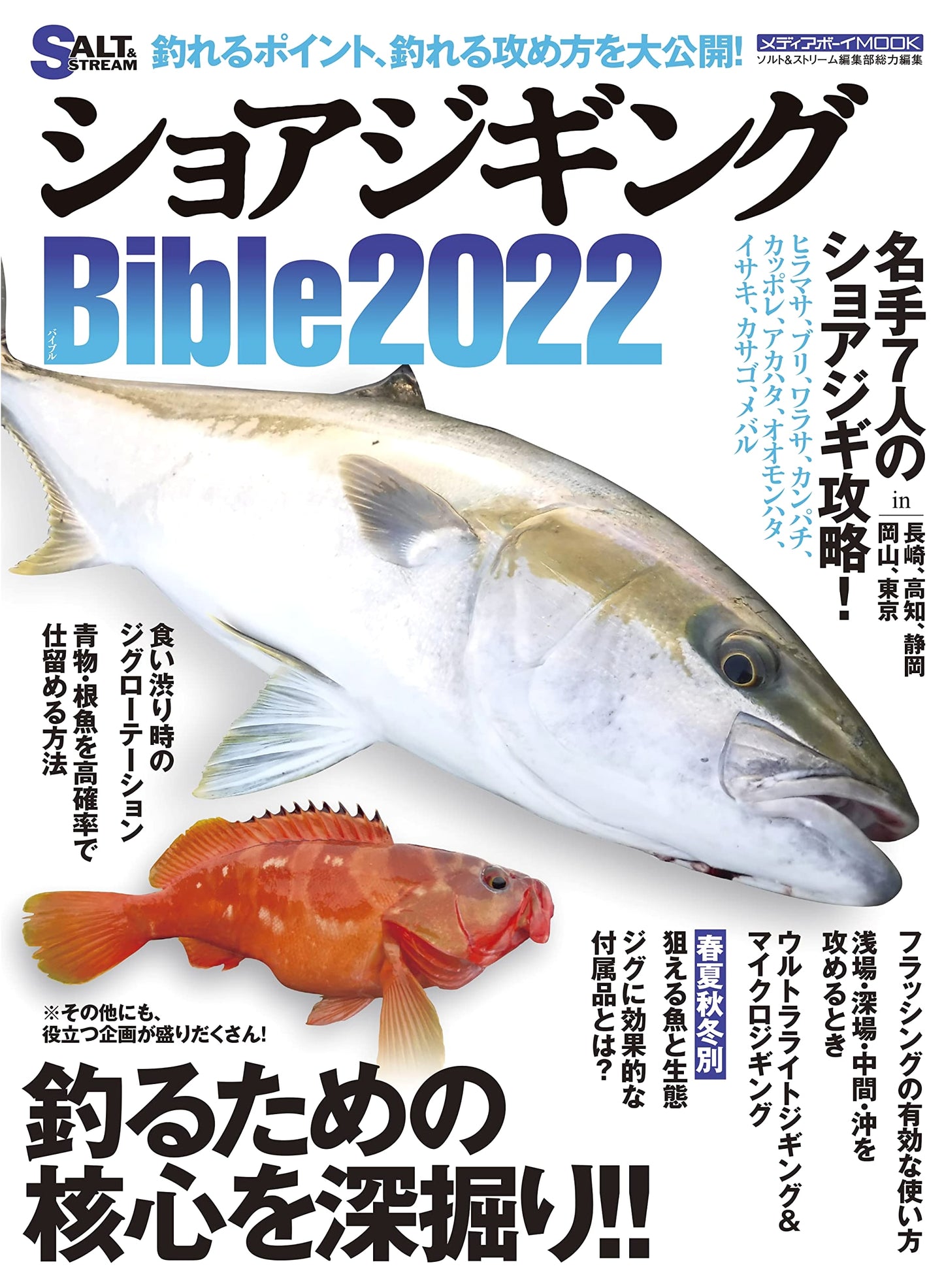 Shore Jigging Bible 2022