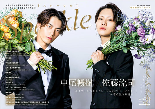Sparkle Vol. 54 - Media Boy Mook