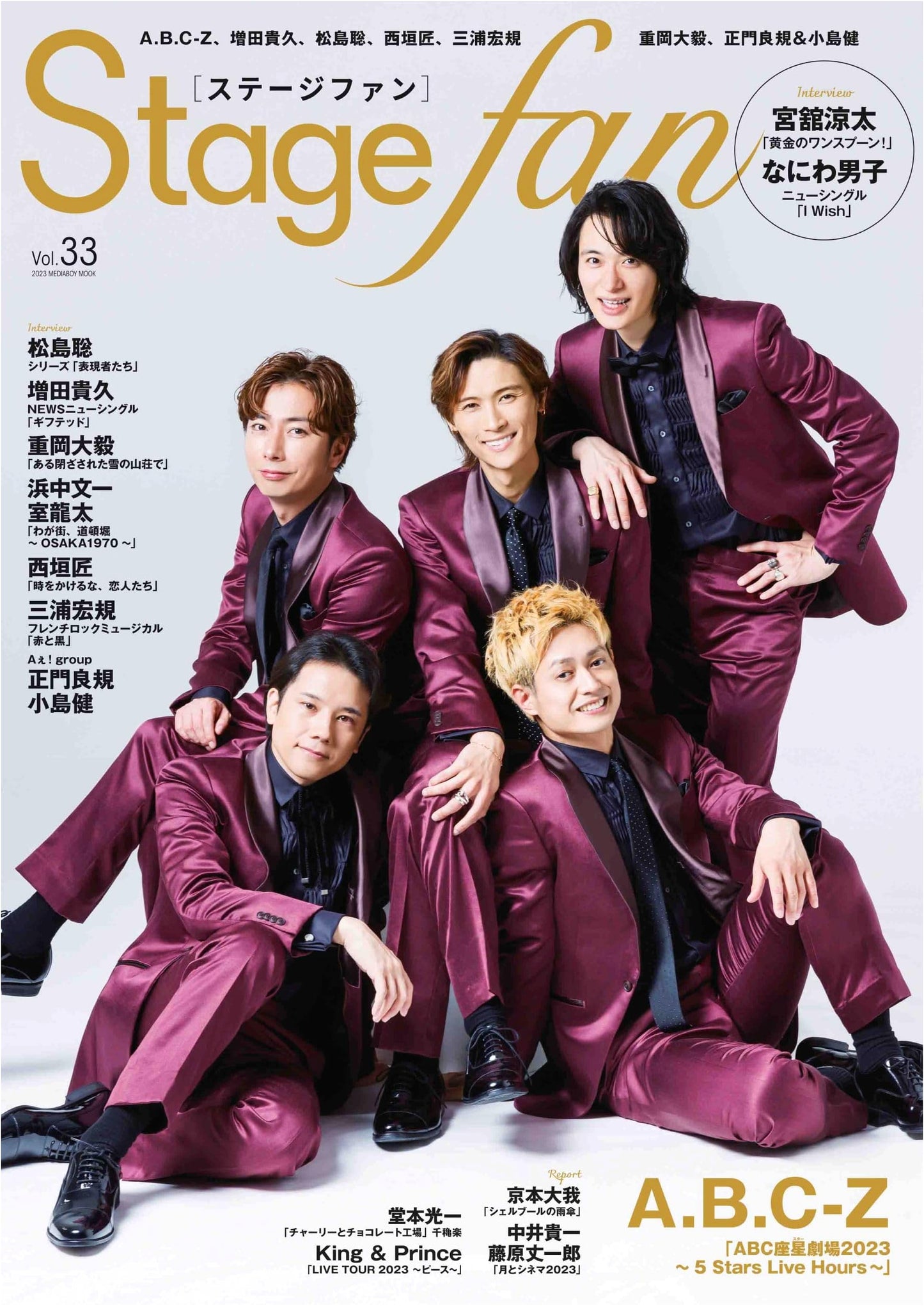 Stagefan Vol.33 (Media Boy Mook)