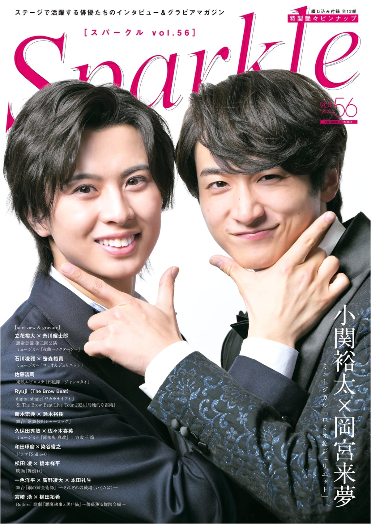 Sparkle Vol. 56 (Media Boy Mook)