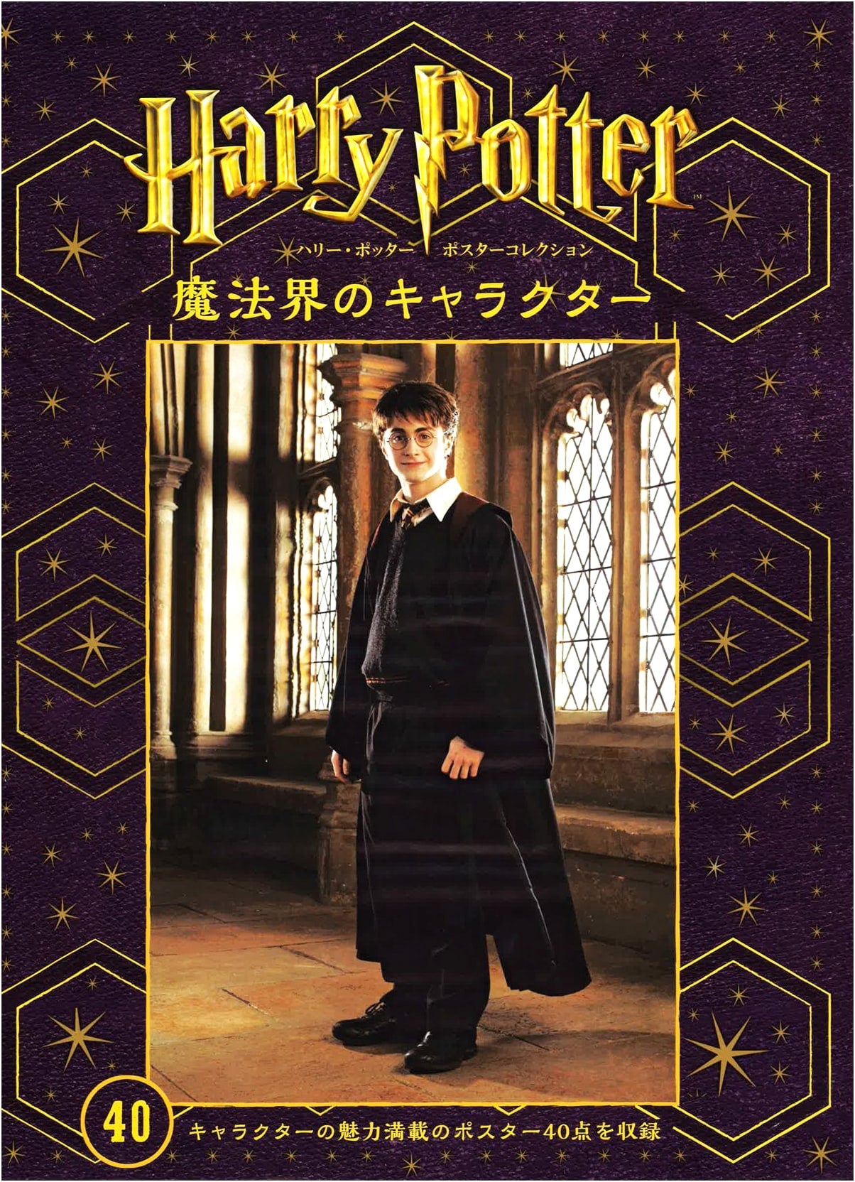 Harry Potter Poster Collection: Characters of the Wizarding World