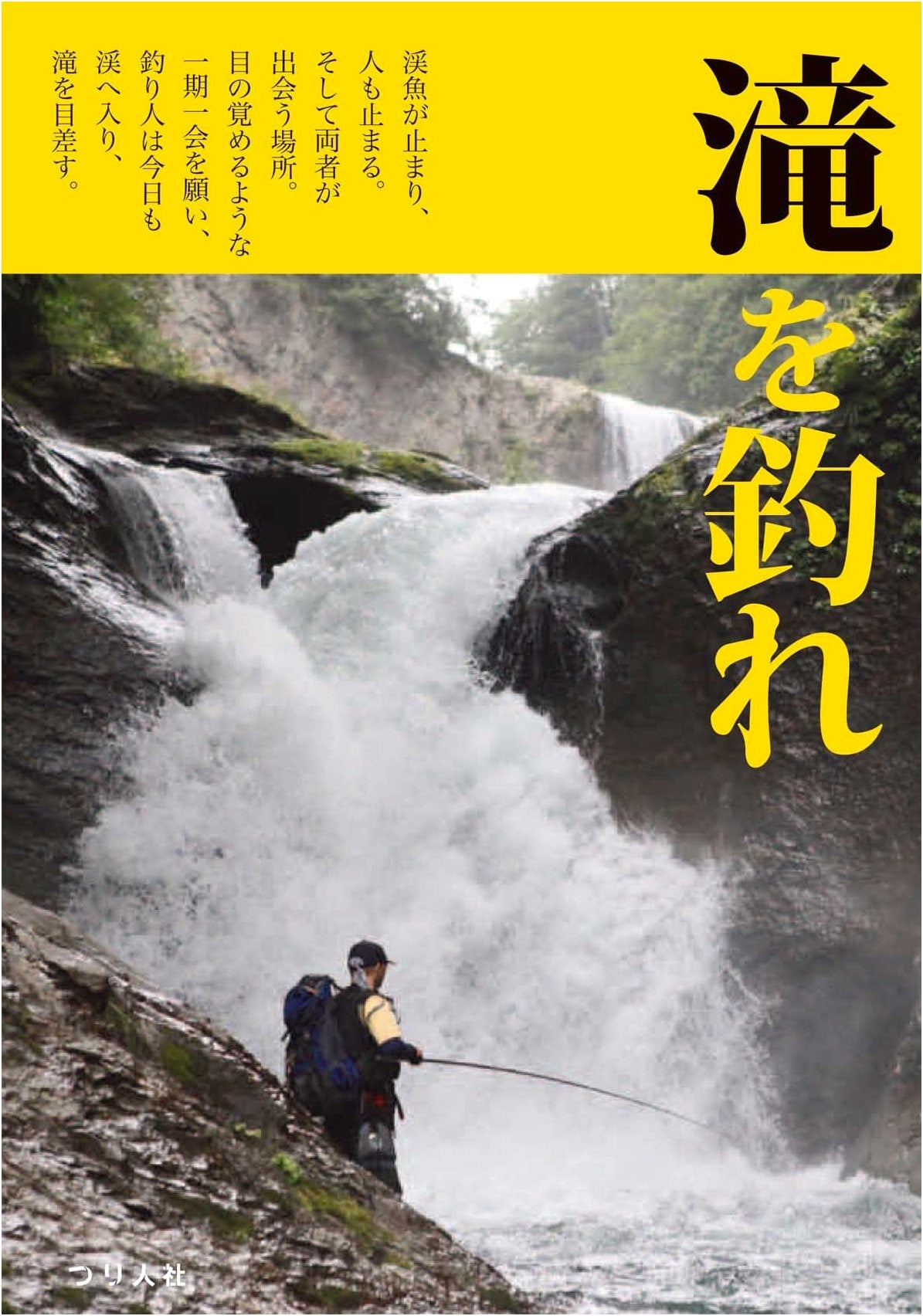 Fish the Waterfall
