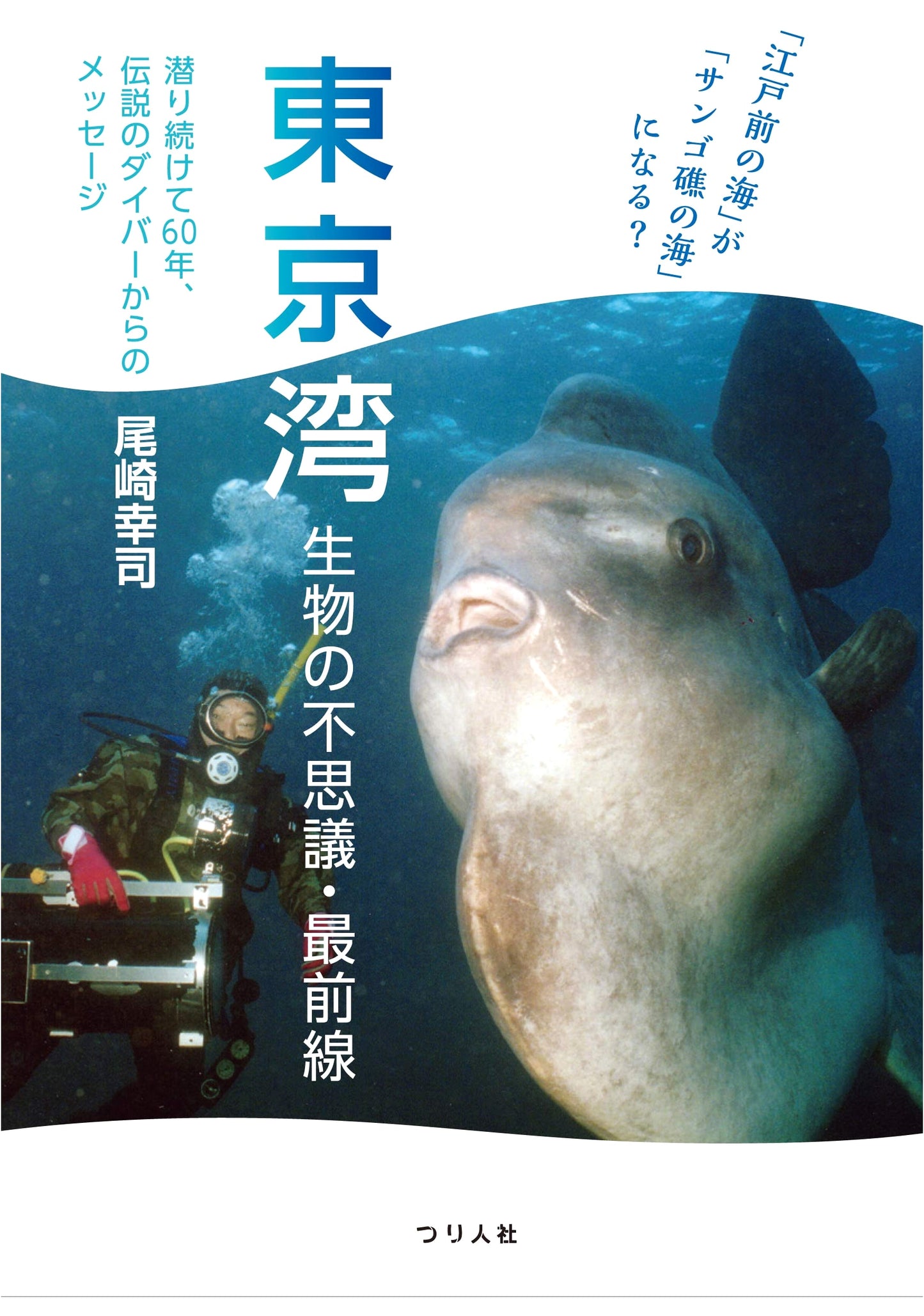 Tokyo Bay's Future: Edomae Sea to Coral Reef? Exploring Marine Wonders.