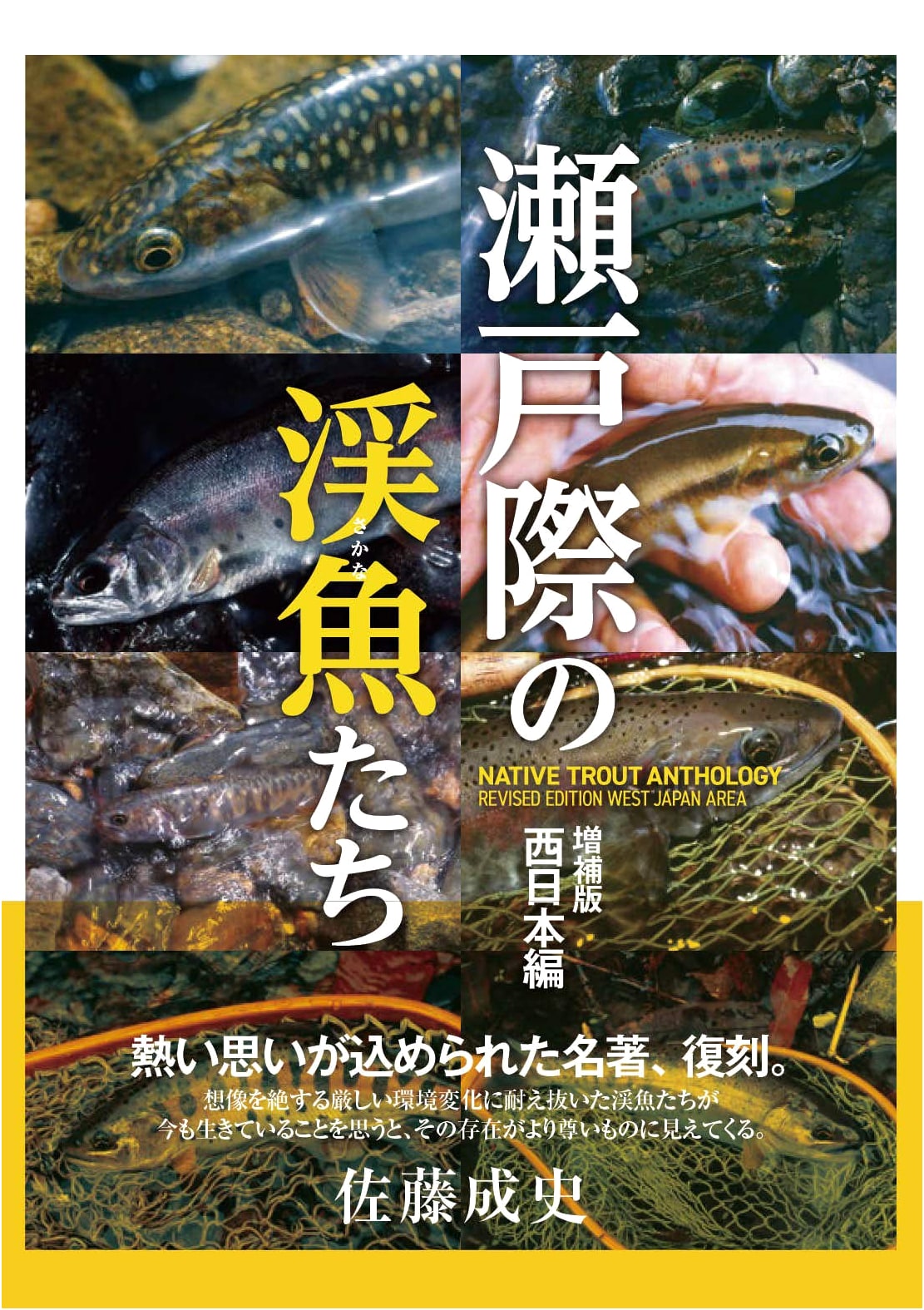 Trout on the Brink: Expanded Edition - Western Japan