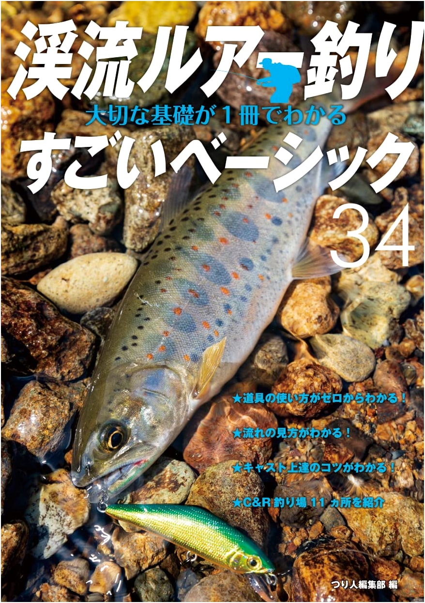 Stream Lure Fishing: The 34 Amazing Basics You Can Learn in One Book