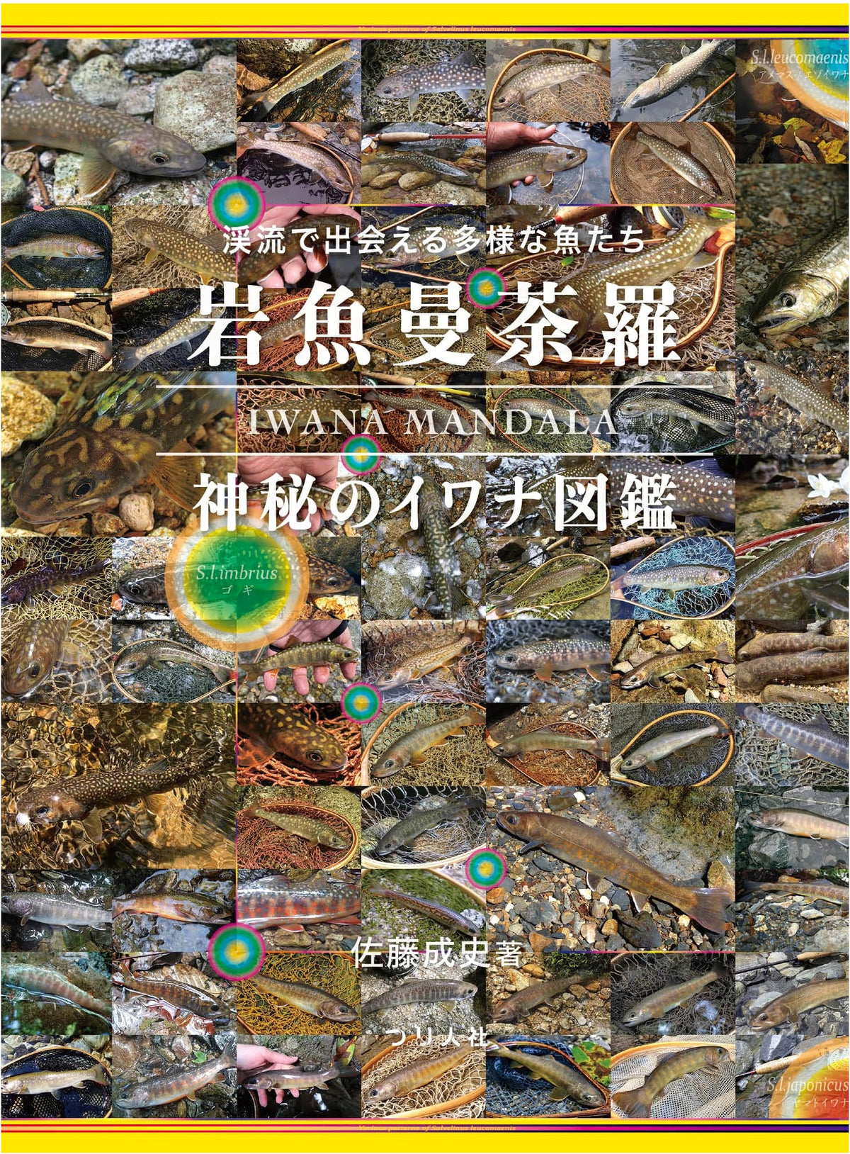Iwana Mandala: An Illustrated Guide to the Mysterious Iwana Fish