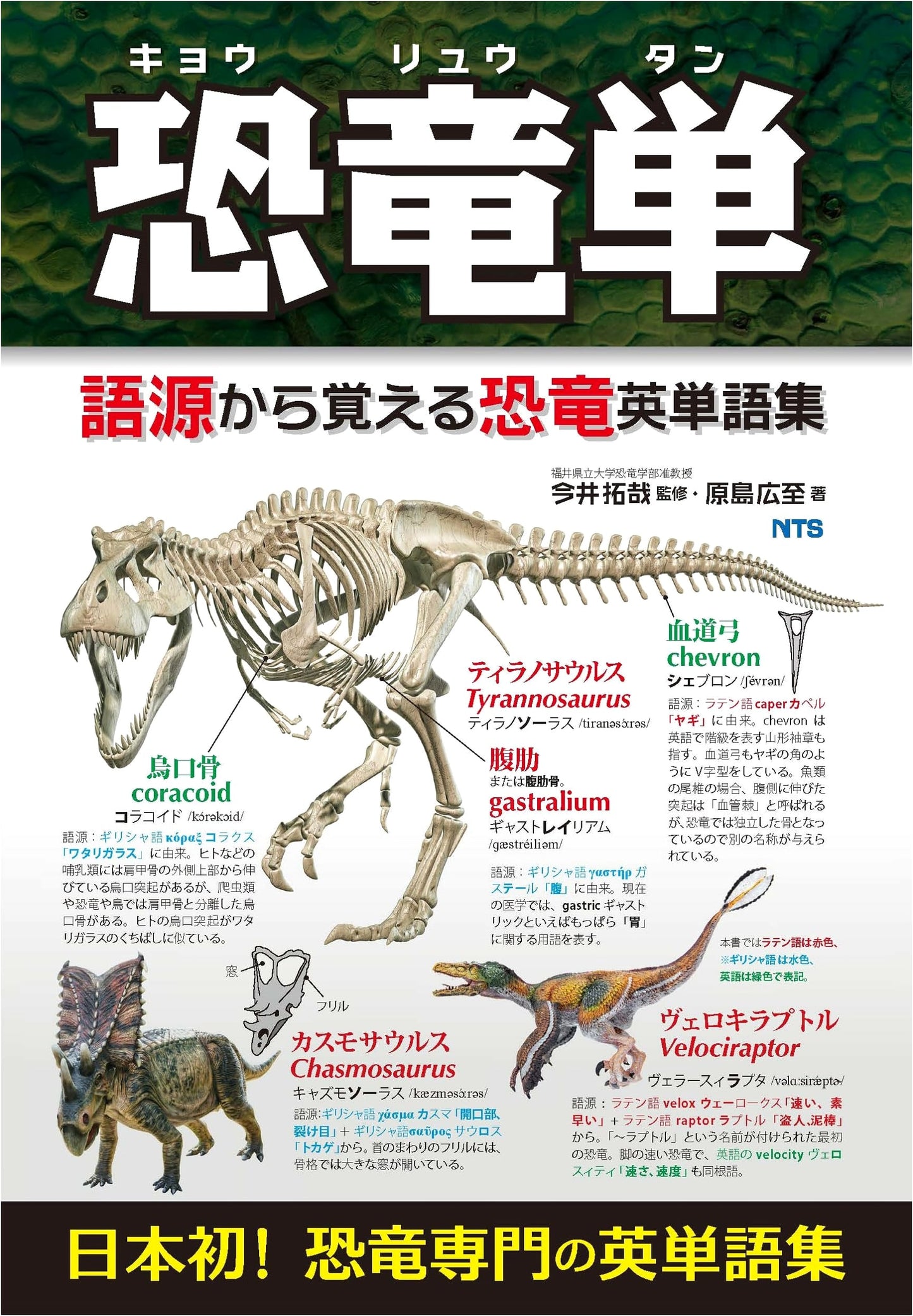Dinosaur Vocabulary: Learn English Dinosaur Terms from Etymology