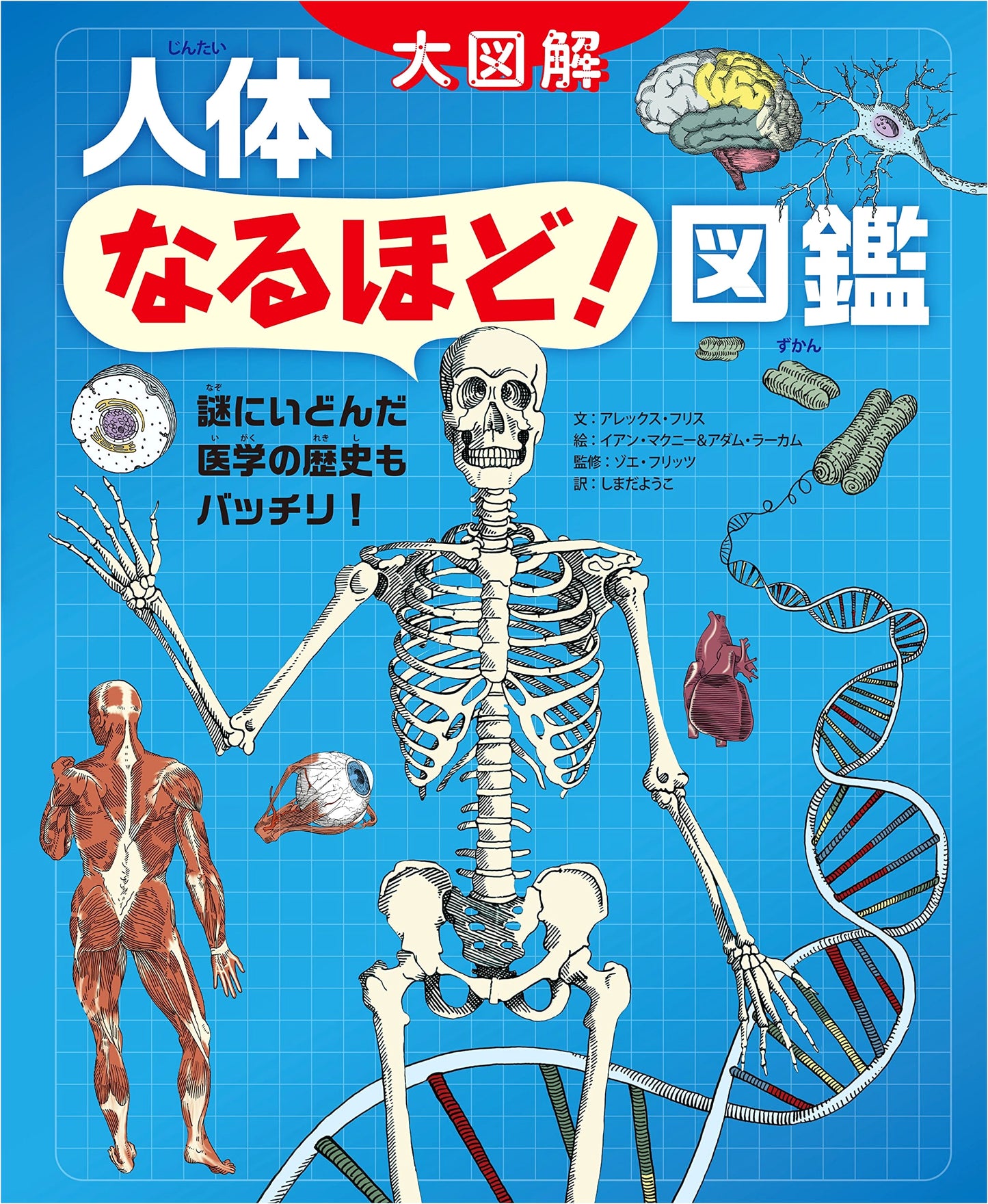 The Amazing Human Body: An Illustrated Guide to Medical History by Alex Frith