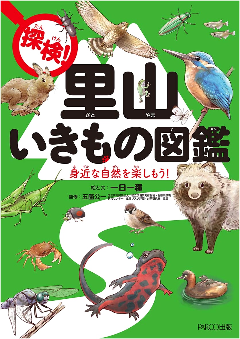 Explore the Satoyama: An Illustrated Field Guide to Japanese Wildlife