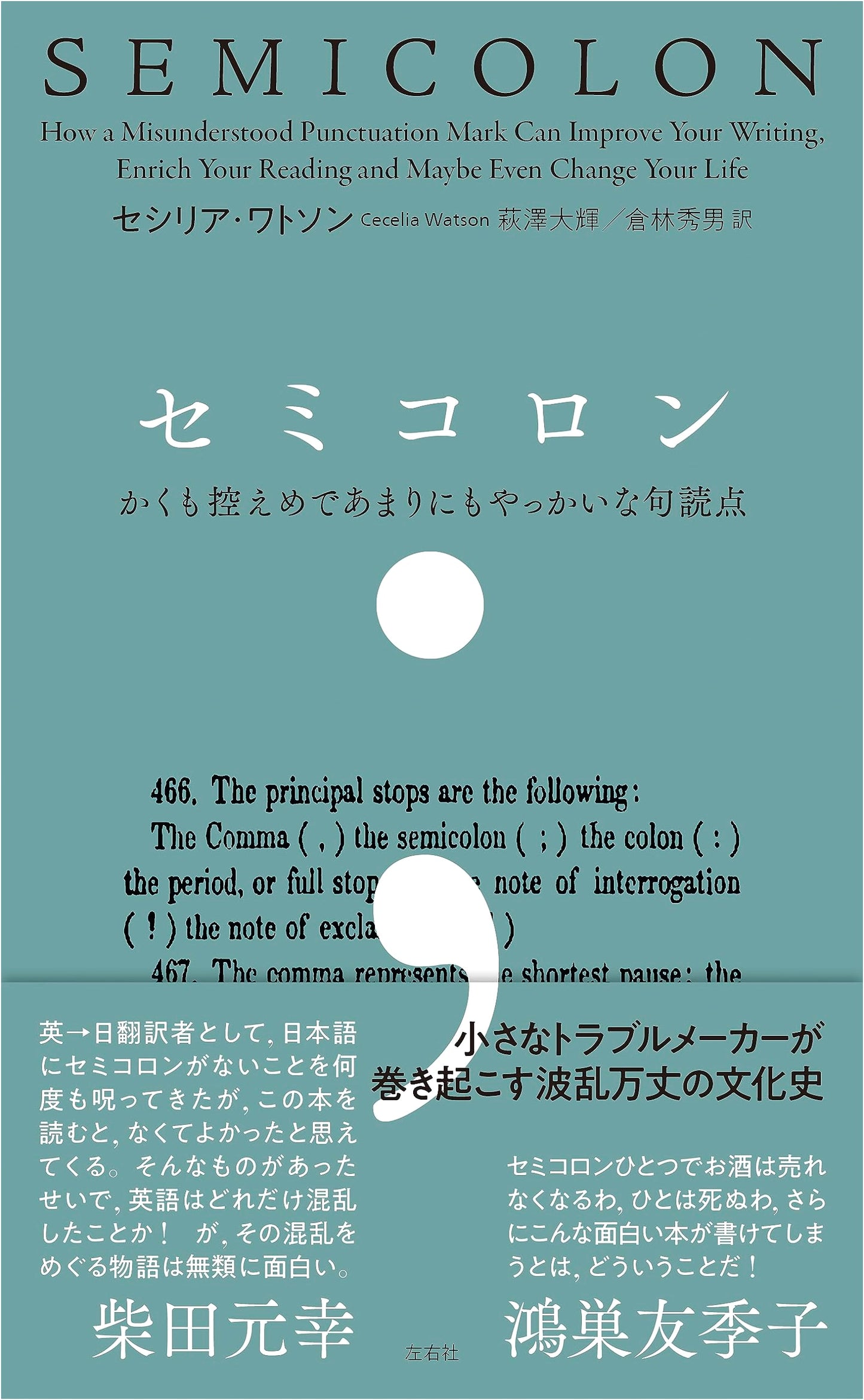 Semicolon: That Most Modest, Most Troublesome Punctuation Mark