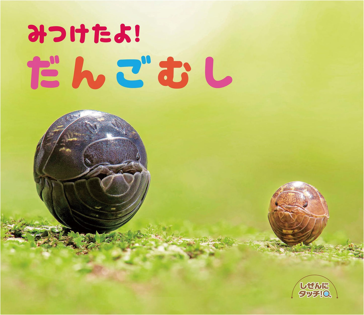 I Found It! Pill Bugs (Touch Nature!)