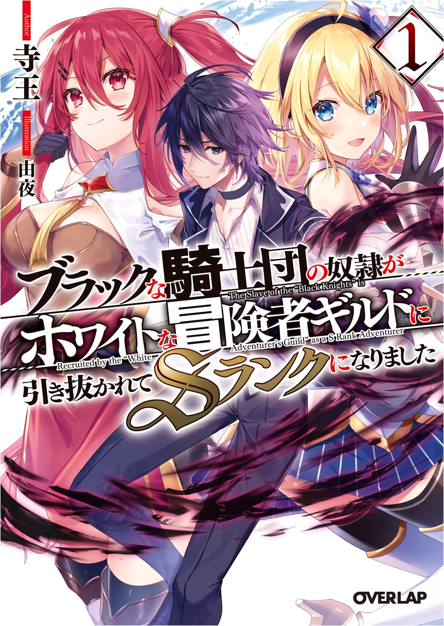 The Slave of a Black Knights' Order Was Pulled into a White Adventurer's Guild and Became an S-Rank, Vol. 1