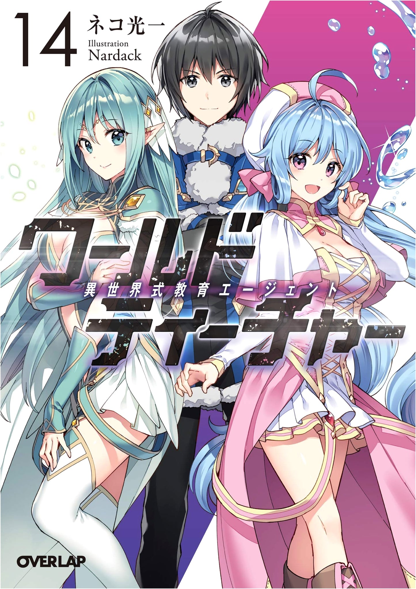 World Teacher: Alternate World-Style Education Agent Vol. 14 (Overlap Bunko)
