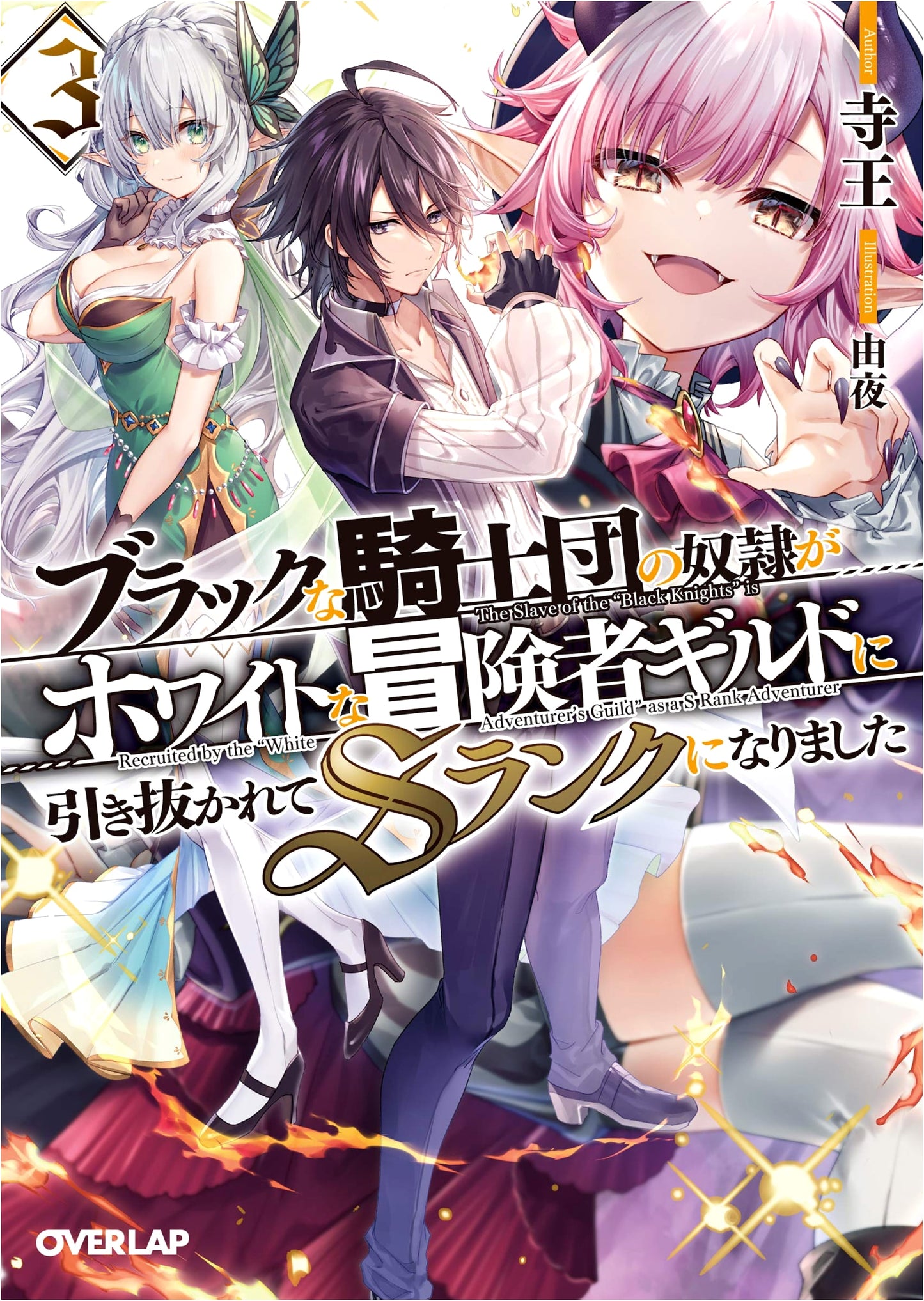 The Slave of the Black Knights Was Pulled into a White Adventurer's Guild and Became an S-Rank, Vol. 3