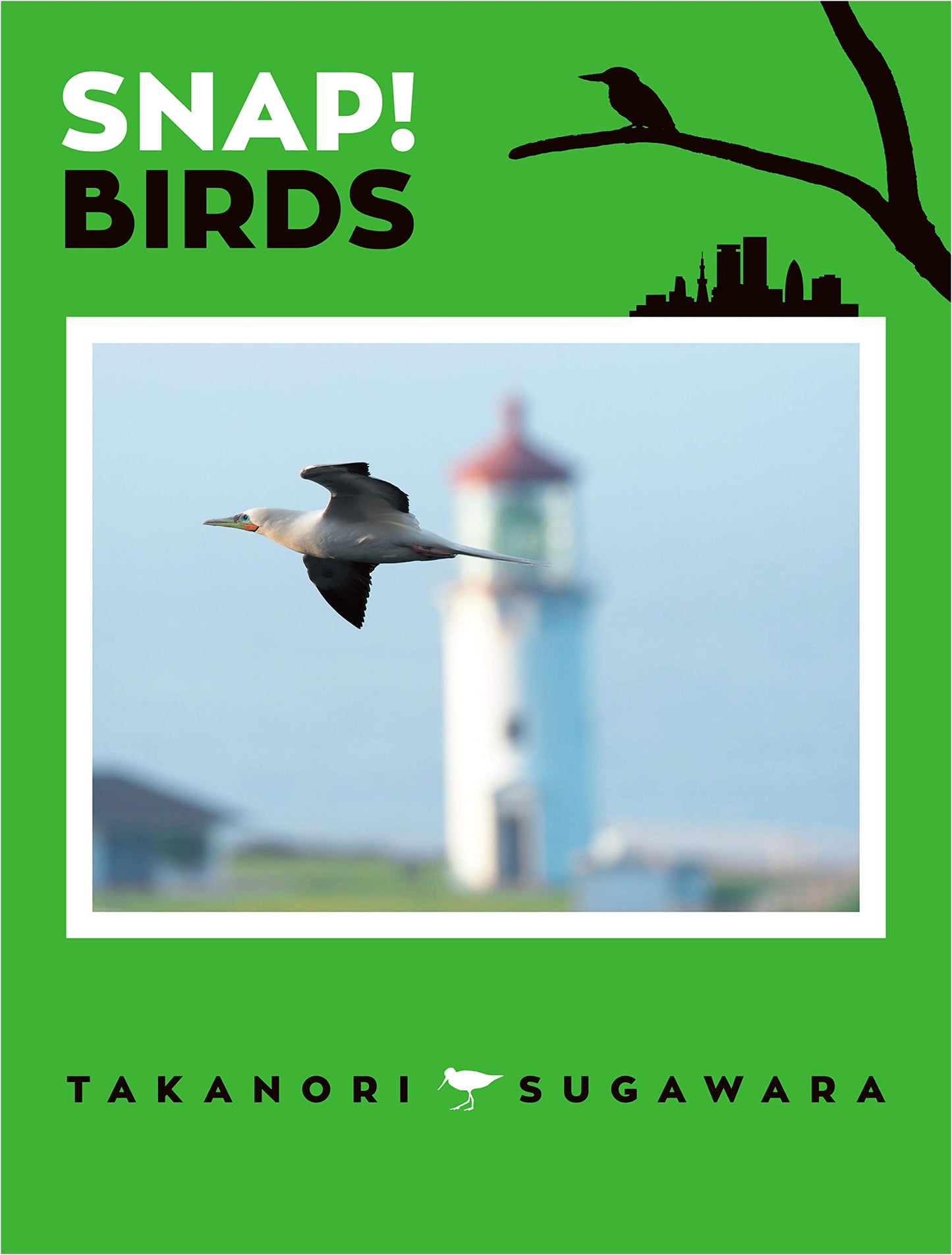SNAP! BIRDS: A Japanese Photography Collection
