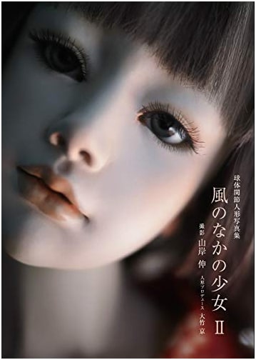 Girl in the Wind II: Ball-Jointed Doll Photo Collection