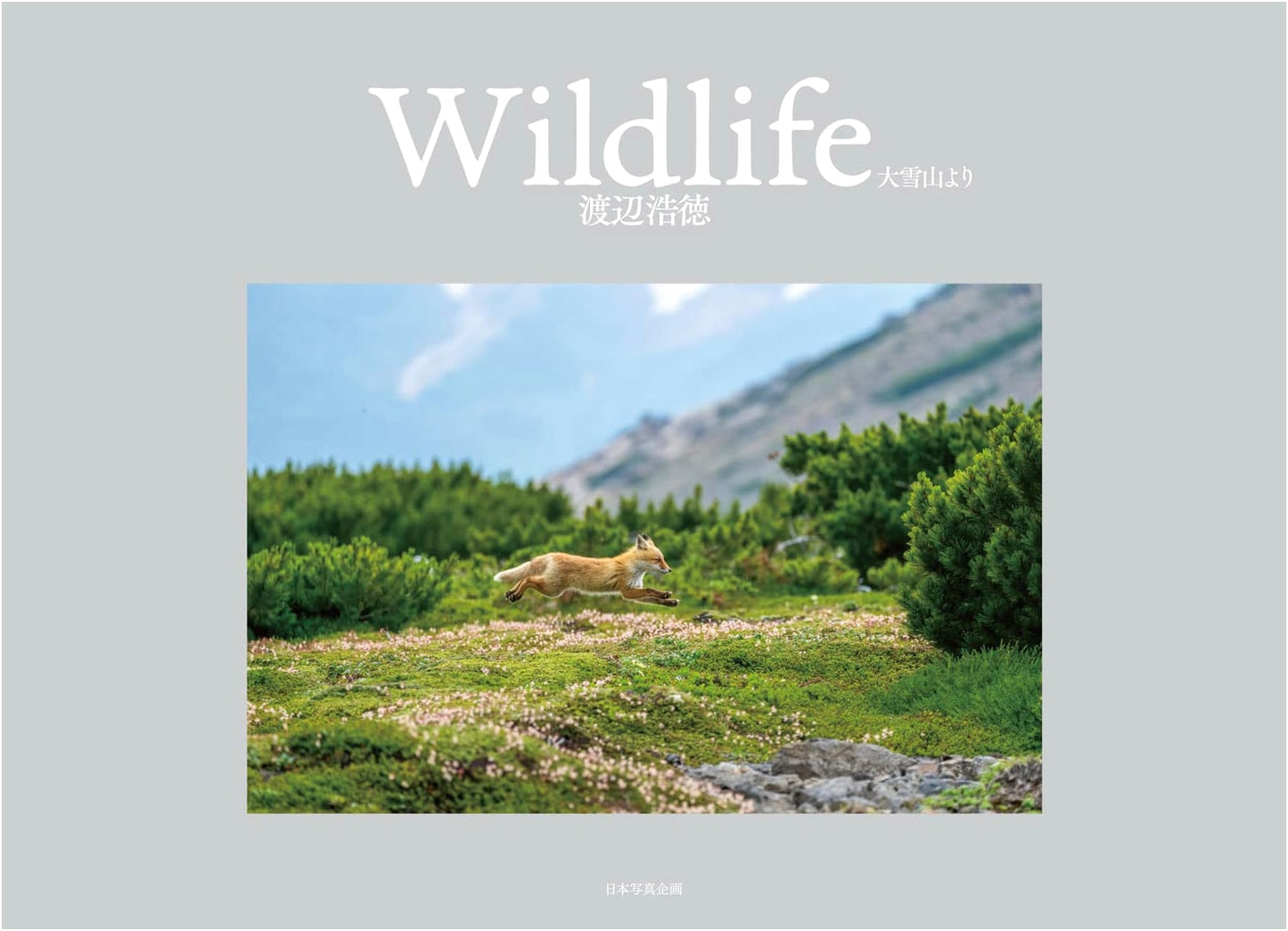 Wildlife from Daisetsuzan