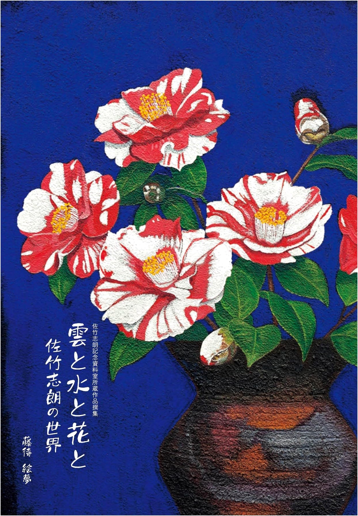 Clouds, Water, and Flowers: The World of Shiro Satake
