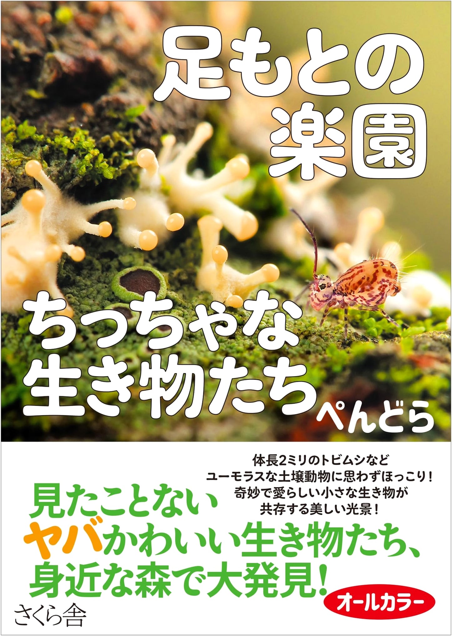Paradise at Your Feet: Tiny Creatures