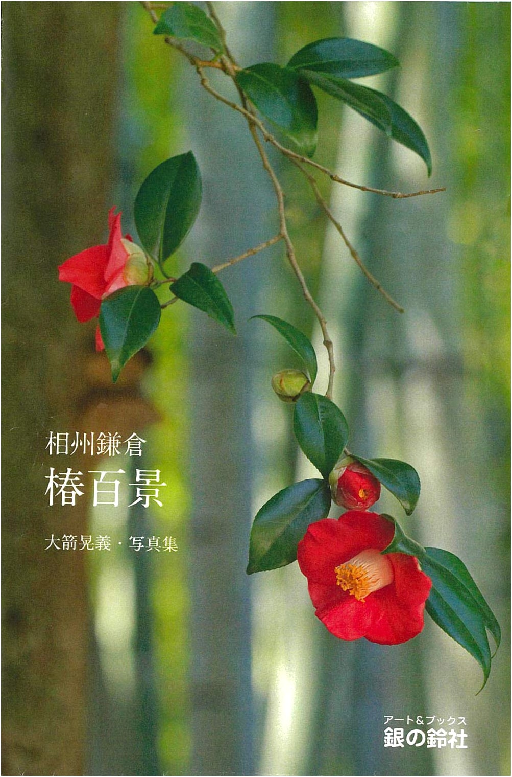 One Hundred Camellias of Kamakura, Sagami Province by Akiyoshi Oyazumi