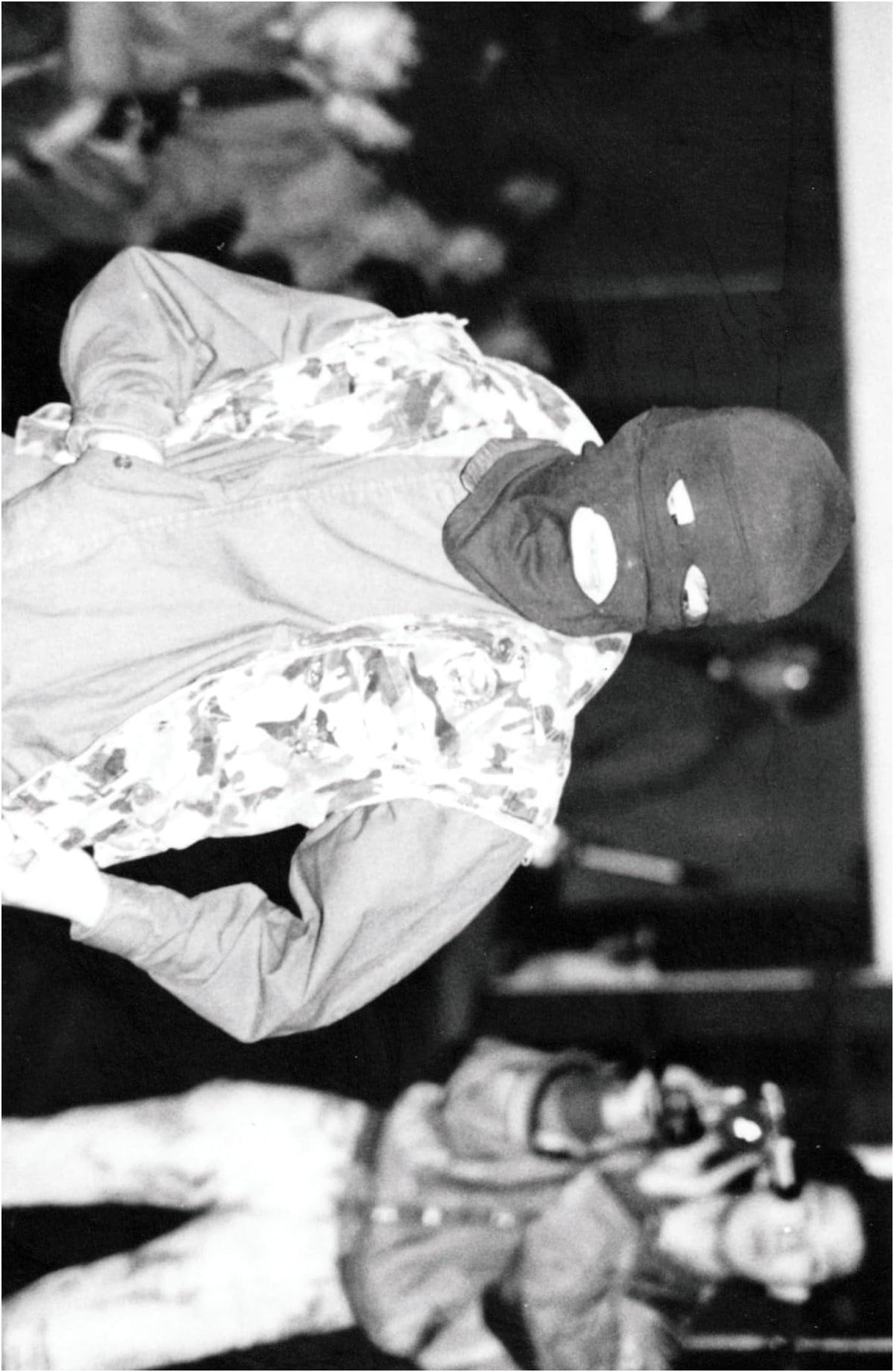 Punks: The Blue Age - Memories and Records of the 1980s Punk Scene by Junji Yasuda