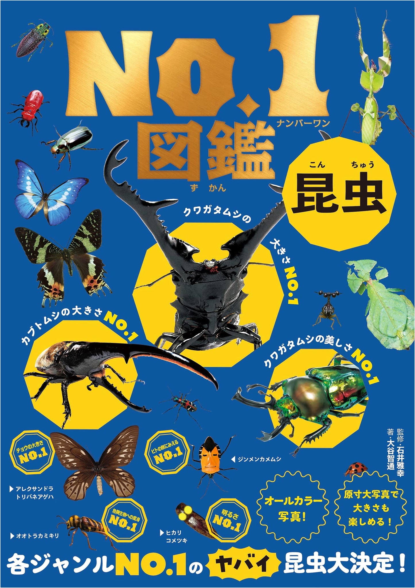 The #1 Illustrated Insect Encyclopedia