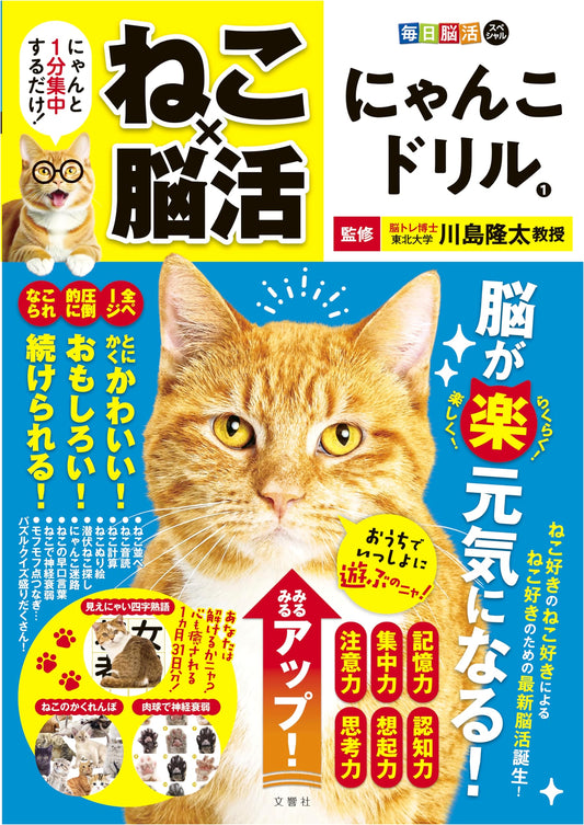Daily Brain Teasers Special: Cat x Brain Training - Kitty Drill Vol. 1 (Just 1-Minute Focus!)