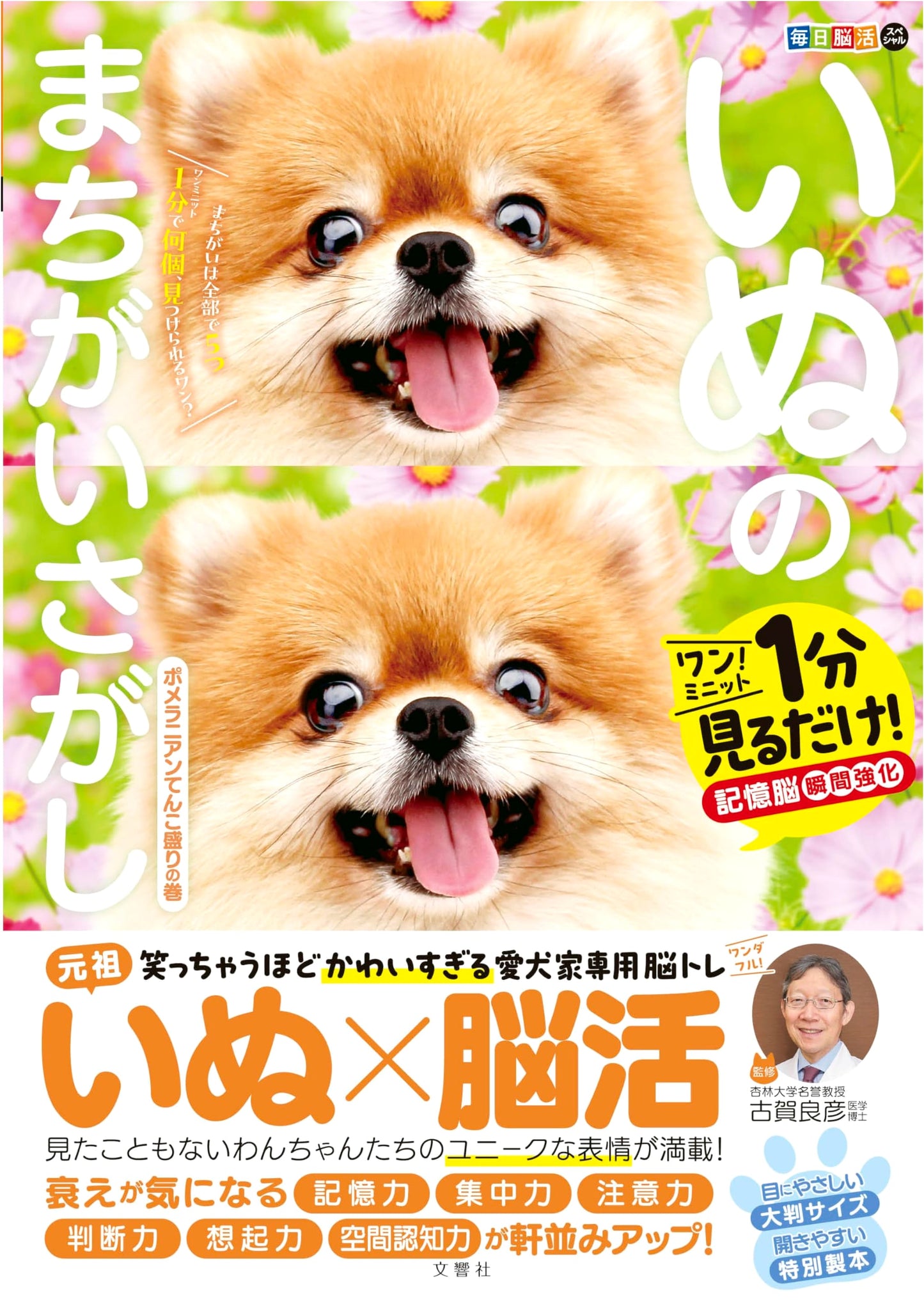 Daily Brain Training Special: Pomeranian Dog Spot the Difference - 1 Minute Memory Boost