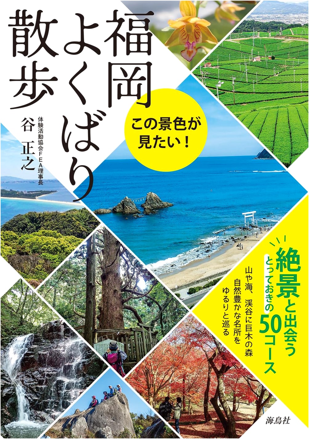 Fukuoka: An Indulgent Stroll Guide
